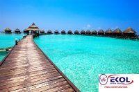 W1006 POSTER Deniz, Nehir, Akarsu 