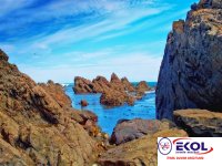  POSTER Deniz, Nehir, Akarsu 