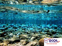  POSTER Deniz, Nehir, Akarsu 