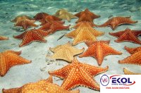  POSTER Deniz, Nehir, Akarsu 