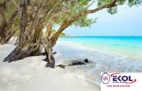  POSTER Deniz, Nehir, Akarsu 