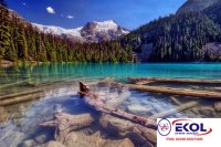  POSTER Deniz, Nehir, Akarsu 