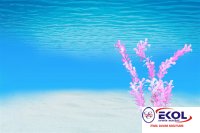  POSTER Deniz, Nehir, Akarsu 