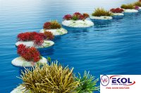  POSTER Deniz, Nehir, Akarsu 