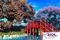  POSTER Deniz, Nehir, Akarsu 