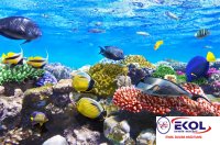  POSTER Deniz, Nehir, Akarsu 