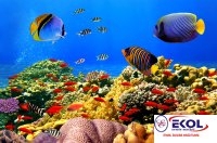  POSTER Deniz, Nehir, Akarsu 