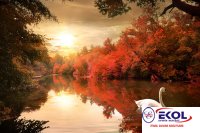  POSTER Deniz, Nehir, Akarsu 