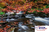  POSTER Deniz, Nehir, Akarsu 