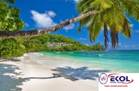 POSTER Deniz, Nehir, Akarsu POSTER Deniz, Nehir, Akarsu