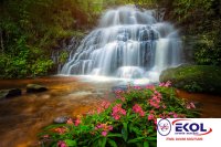  POSTER Deniz, Nehir, Akarsu 