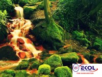  POSTER Deniz, Nehir, Akarsu 