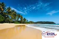  POSTER Deniz, Nehir, Akarsu 