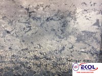  SILVER RIVER SILVER RIVER 