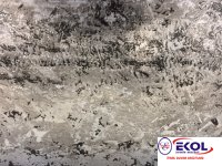  SILVER RIVER SILVER RIVER 