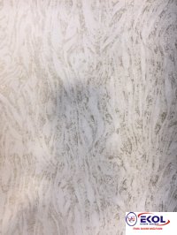  SILVER RIVER SILVER RIVER 