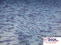  SILVER RIVER SILVER RIVER 