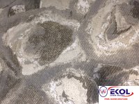  SILVER RIVER SILVER RIVER 