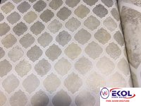  SILVER RIVER SILVER RIVER 