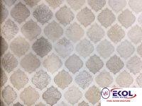  SILVER RIVER SILVER RIVER 