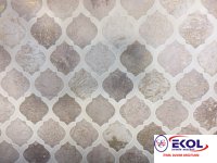  SILVER RIVER SILVER RIVER 