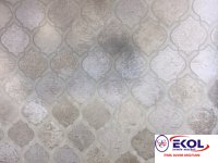  SILVER RIVER SILVER RIVER 