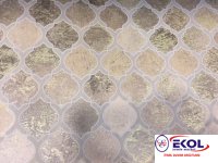  SILVER RIVER SILVER RIVER 