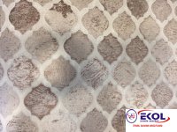  SILVER RIVER SILVER RIVER 