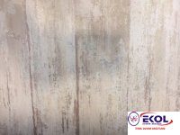  SILVER RIVER SILVER RIVER 