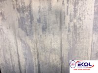  SILVER RIVER SILVER RIVER 