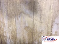  SILVER RIVER SILVER RIVER 