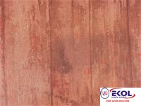  SILVER RIVER SILVER RIVER 