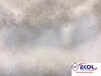  SILVER RIVER SILVER RIVER 