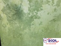  SILVER RIVER SILVER RIVER 