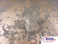  SILVER RIVER SILVER RIVER 