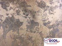  SILVER RIVER SILVER RIVER 