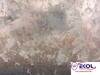  SILVER RIVER SILVER RIVER 