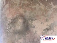  SILVER RIVER SILVER RIVER 