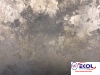  SILVER RIVER SILVER RIVER 